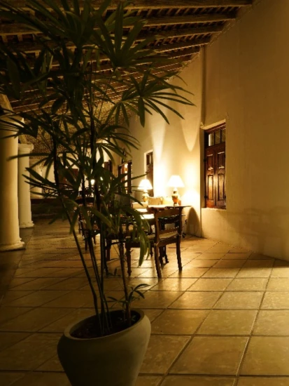 A potted plant in a large planter sits on a tiled floor in a corridor of Adigar's manor.