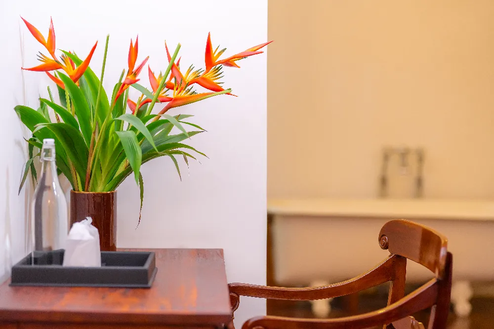 Elegant writing desk in the Lime Butterfly Room featuring tropical heliconia flowers, wooden chair, and warm luxury interior décor